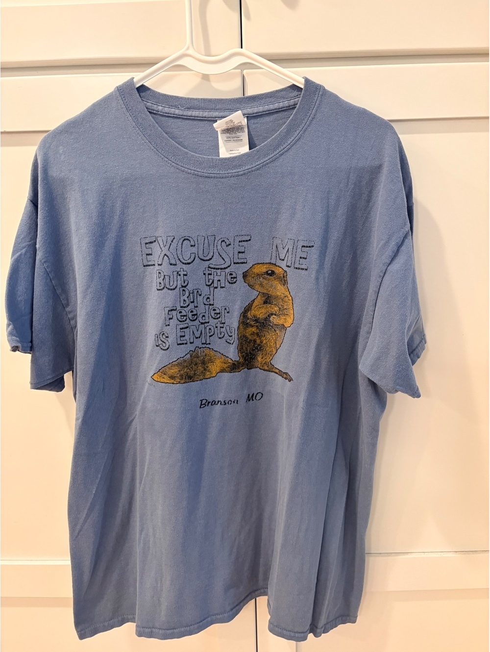 Vintage Gildan Light Blue Cotton T-Shirt with Squirrel Graphic Large